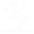 Family Tree